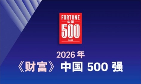 中偉新材連續四年榮登《財富》中國500強 排名再度攀升